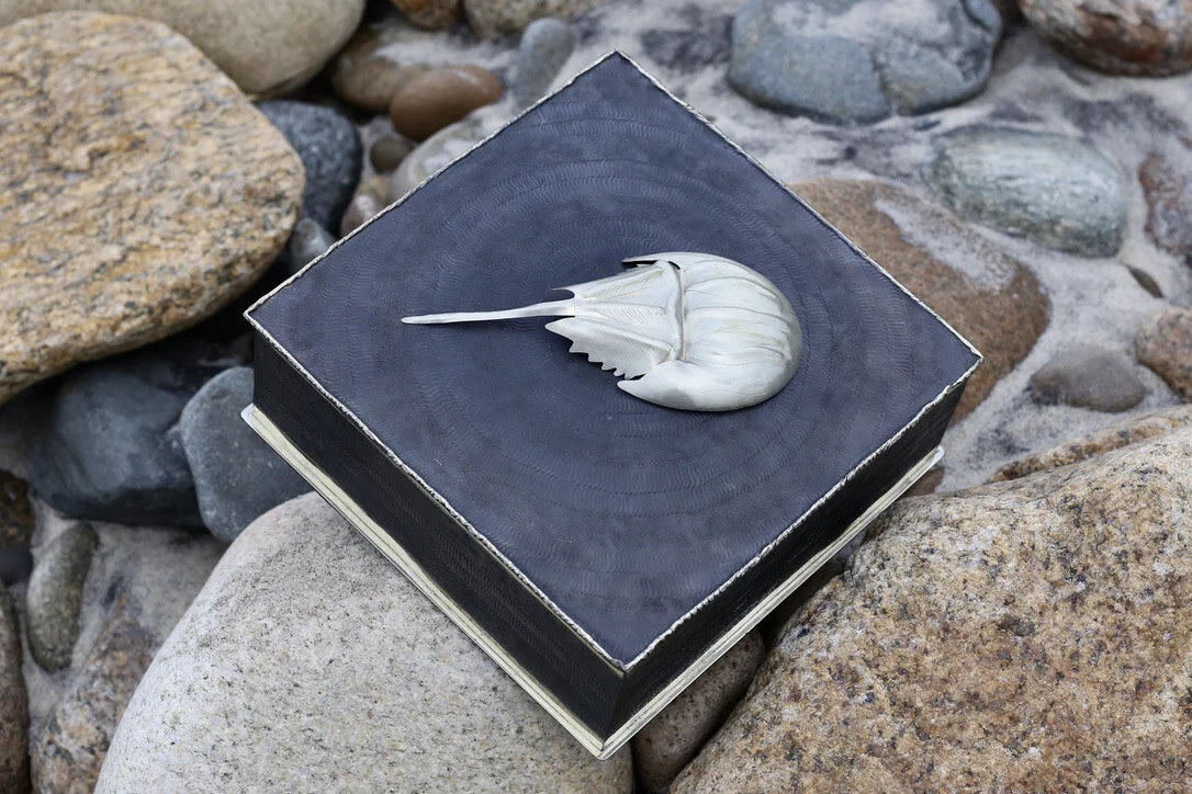 HORSESHOE CRAB BOX- ALPACA