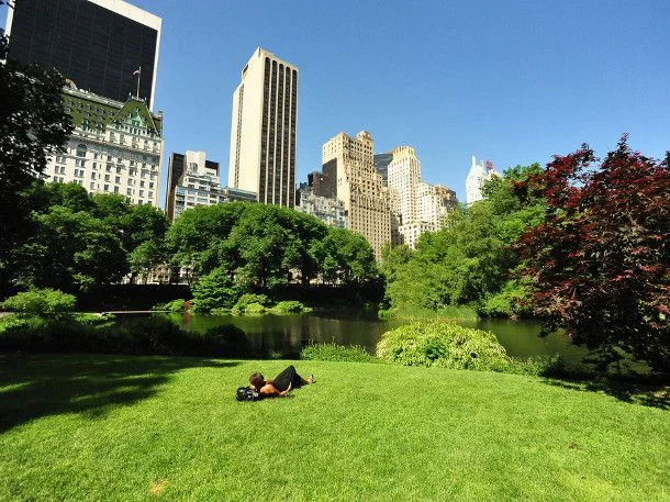 
Summer Comes to Central Park  