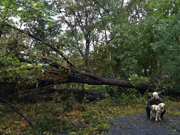 
Cleaning Up After Sandy  