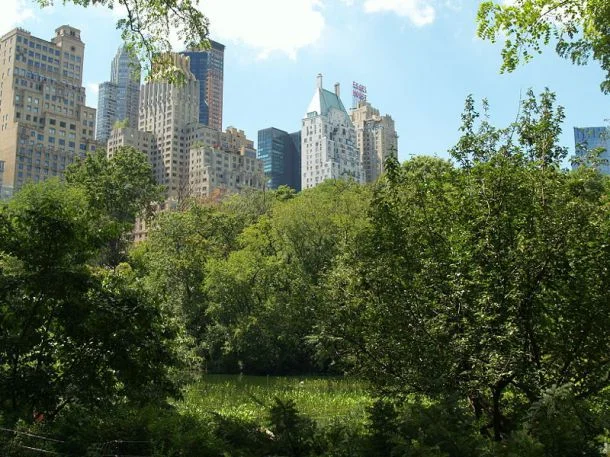 
Living Green in NYC  