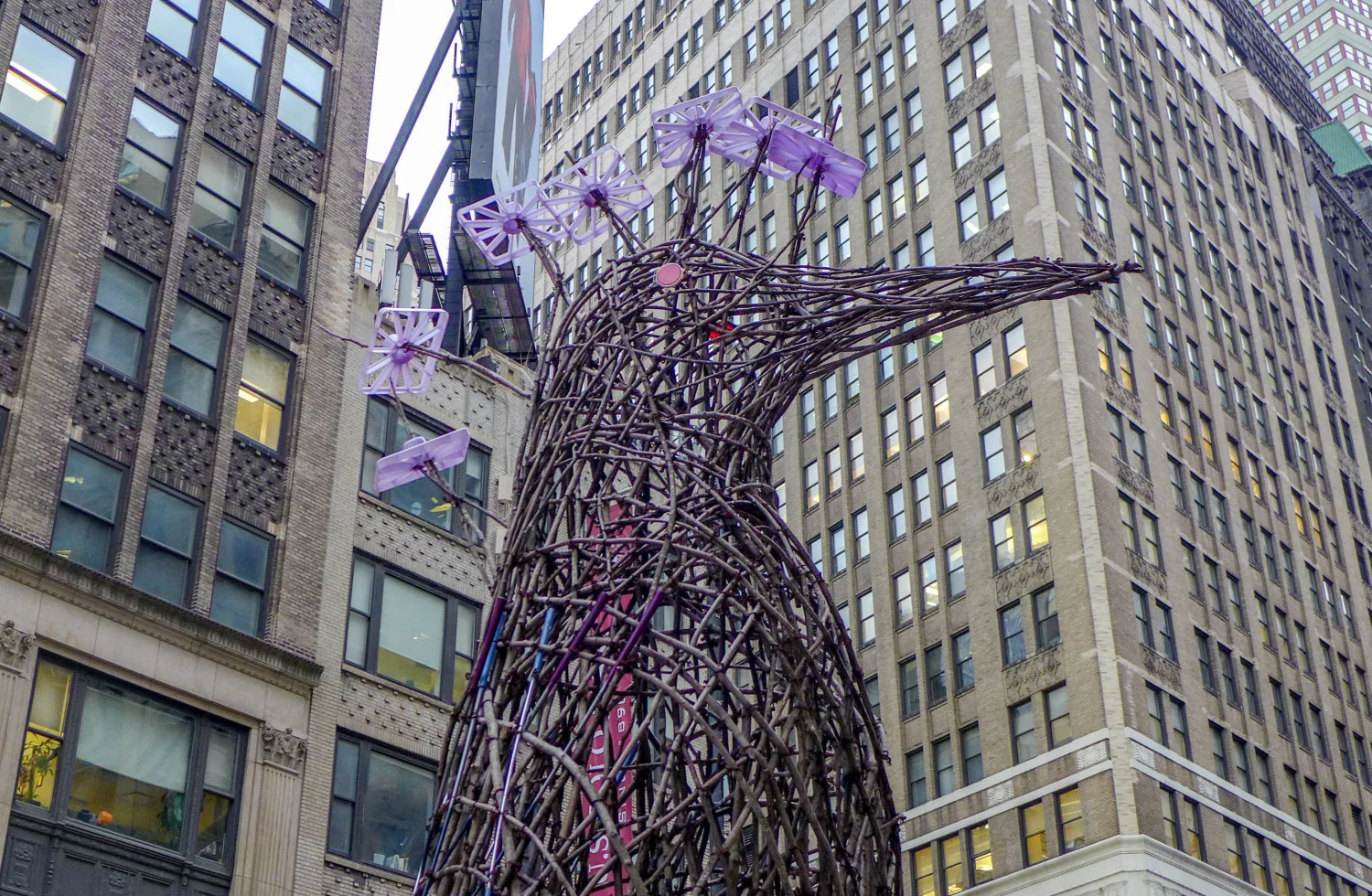 
Today's the Day I…went bird-watching on Broadway  