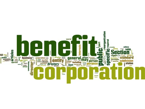 
The B-Corp Boom and What it Means for You  