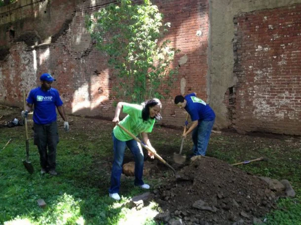 
The New York Restoration Project: Citizens Keeping NYC Clean  