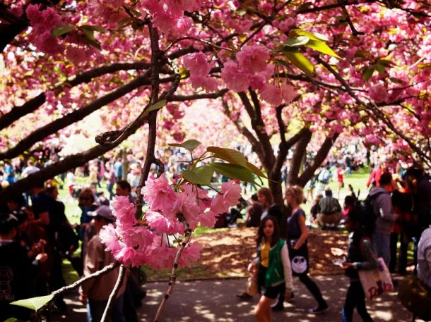 
Top Ten Must-See International Events in NYC  