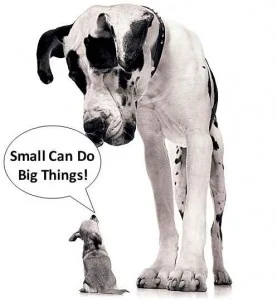 
How to Market Like the Big Dogs on a Small Business Budget  