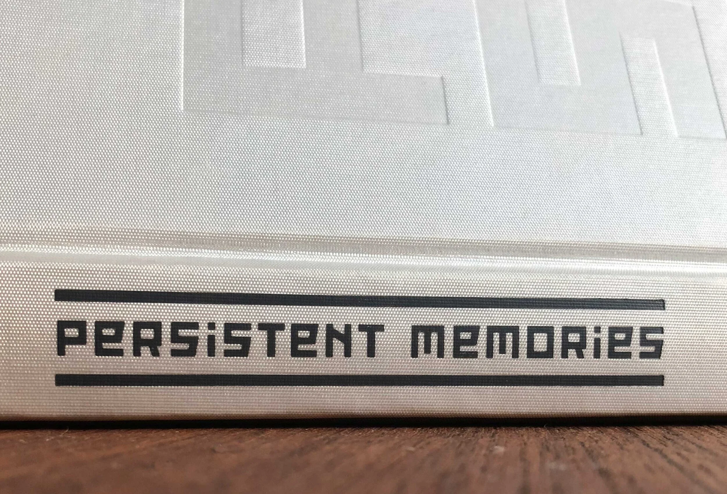 persistent5.jpg