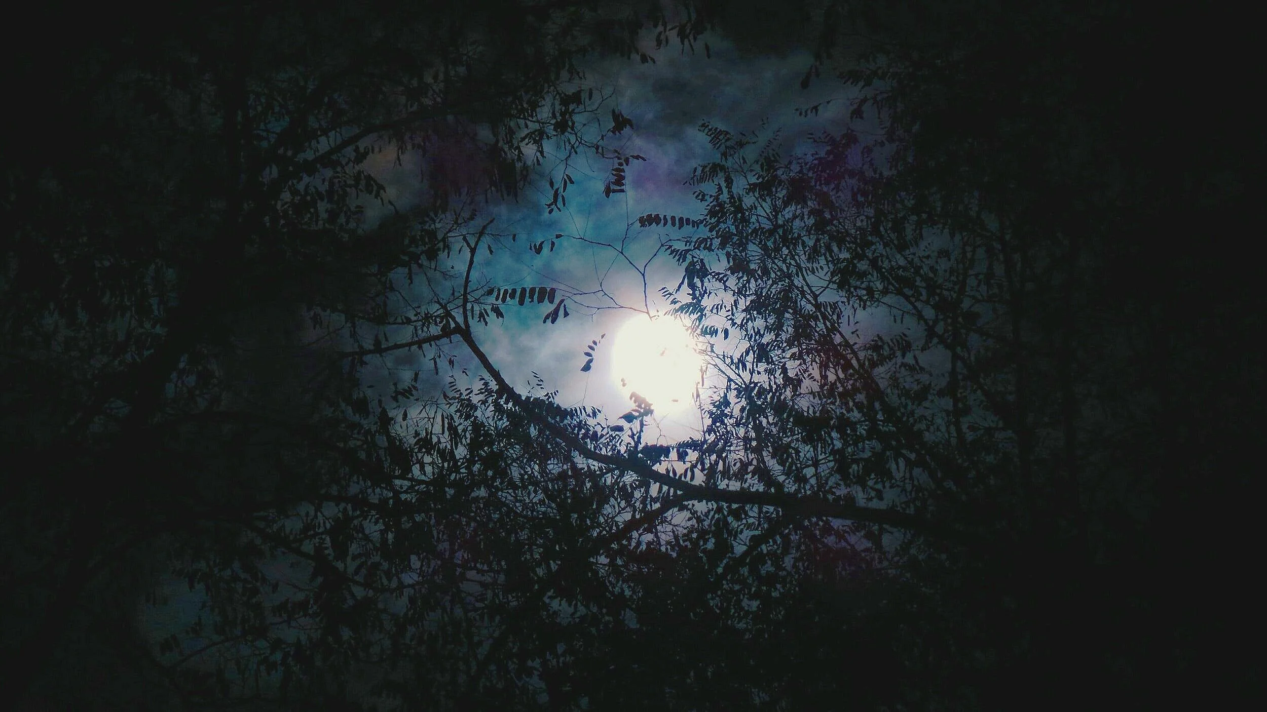 ♈ Full Moon ♈ Meditation &amp; Group Healing