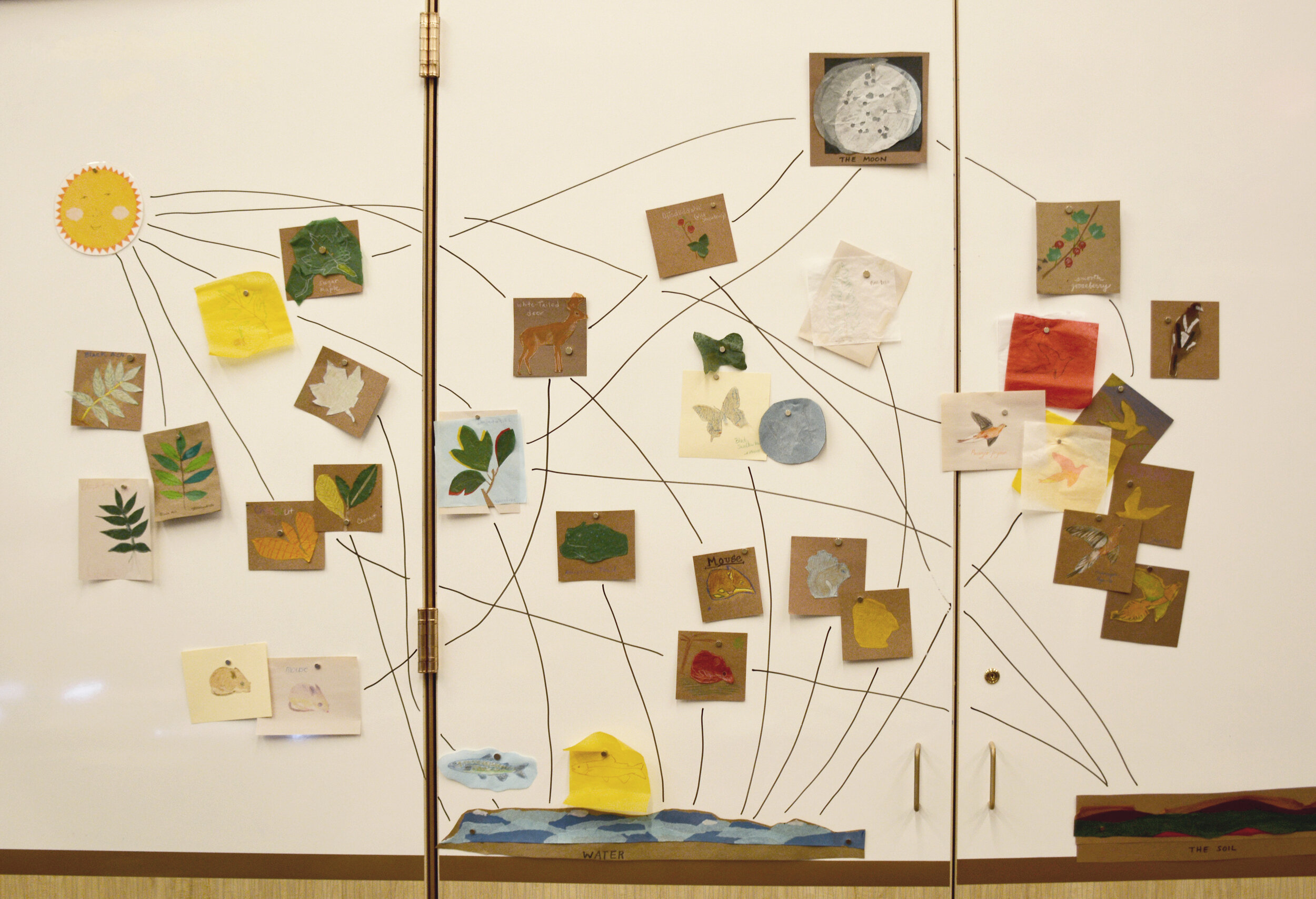 Web of Life activity at the National Museum of the American Indian