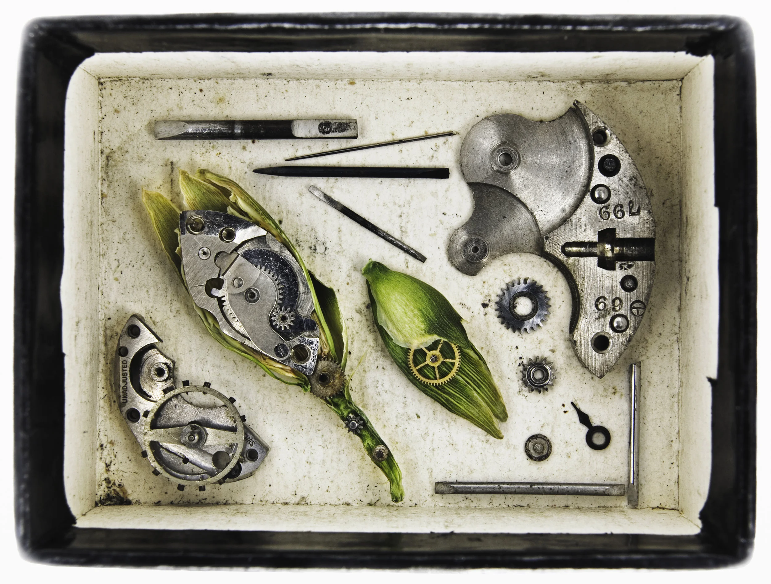 time_box_01_masterfile.jpg