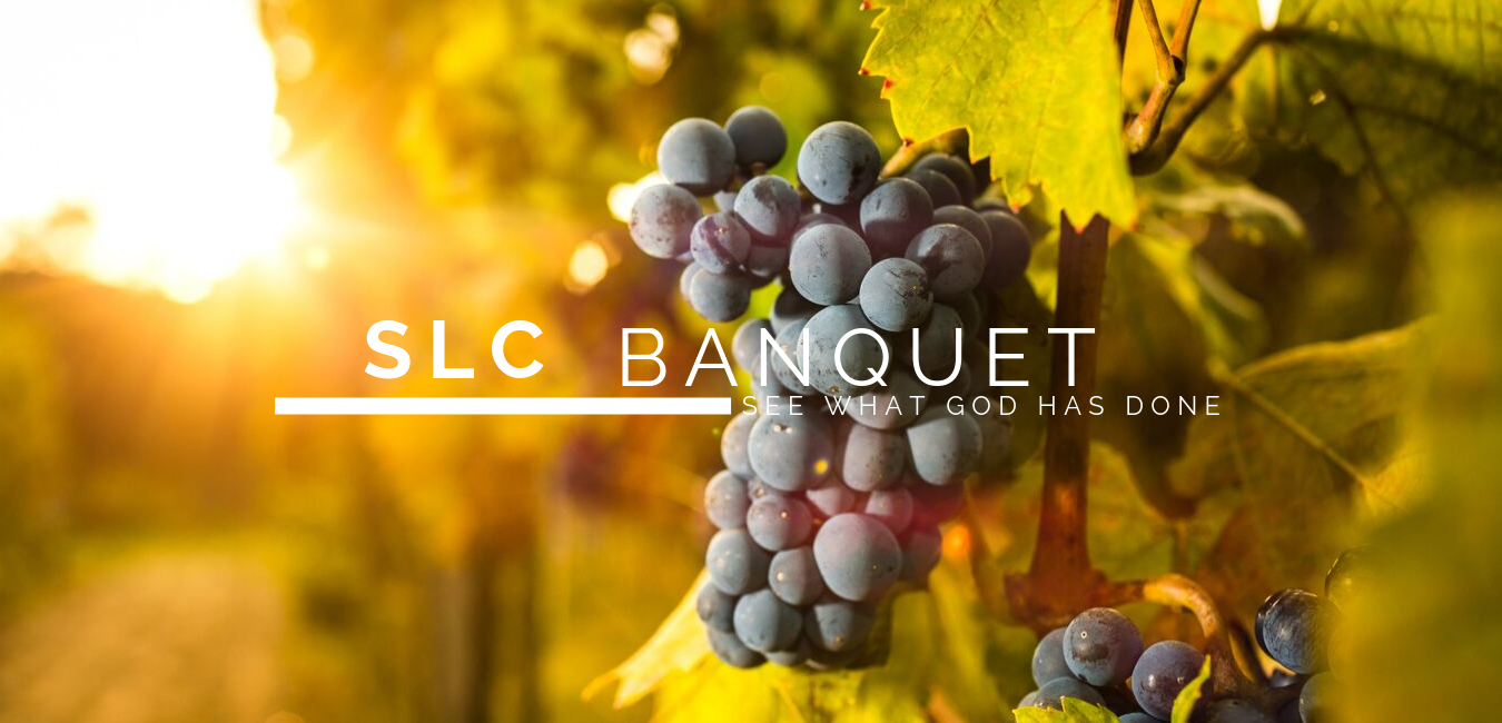 Copy of Simple Grape Photo Email Header Banner.png