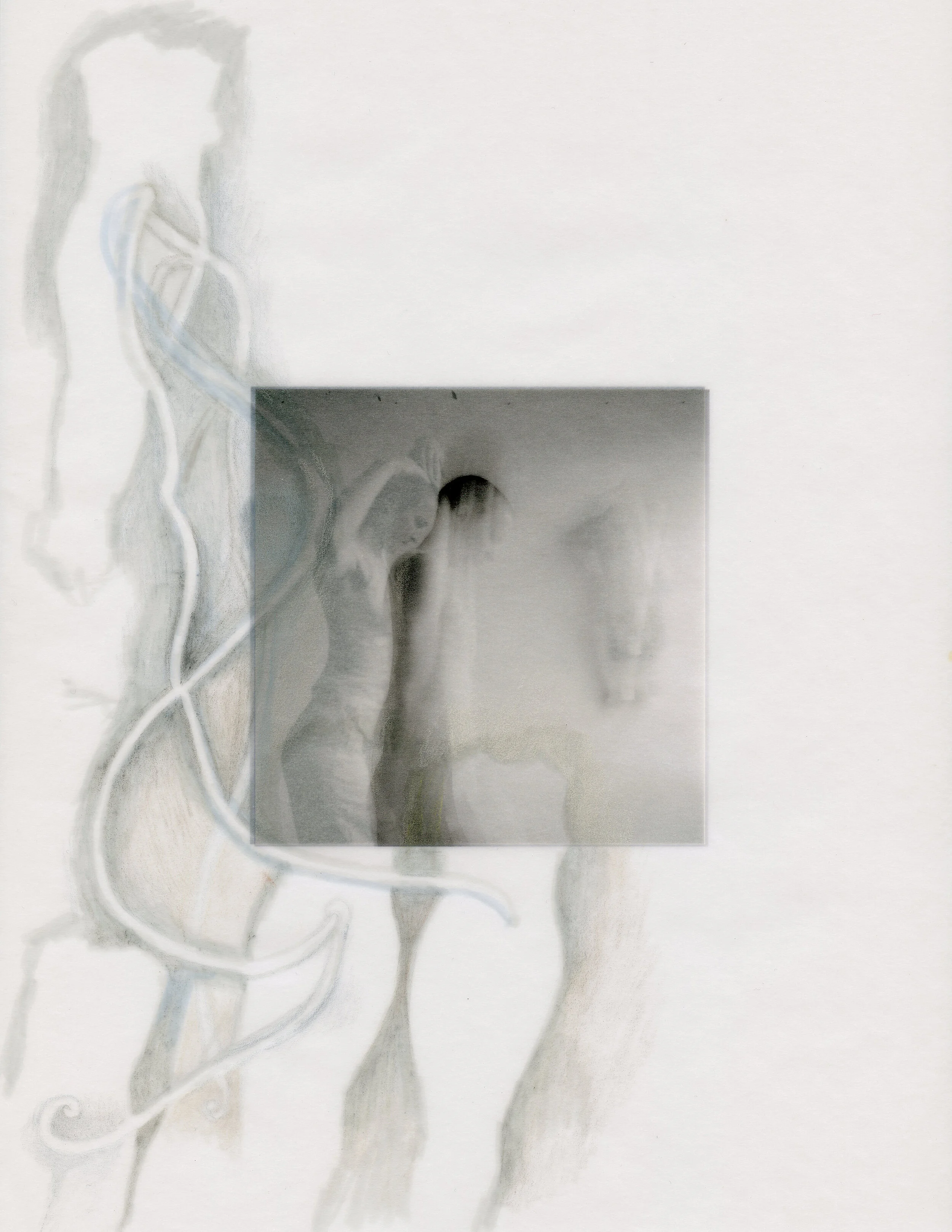 Meg Wolfe, 2019