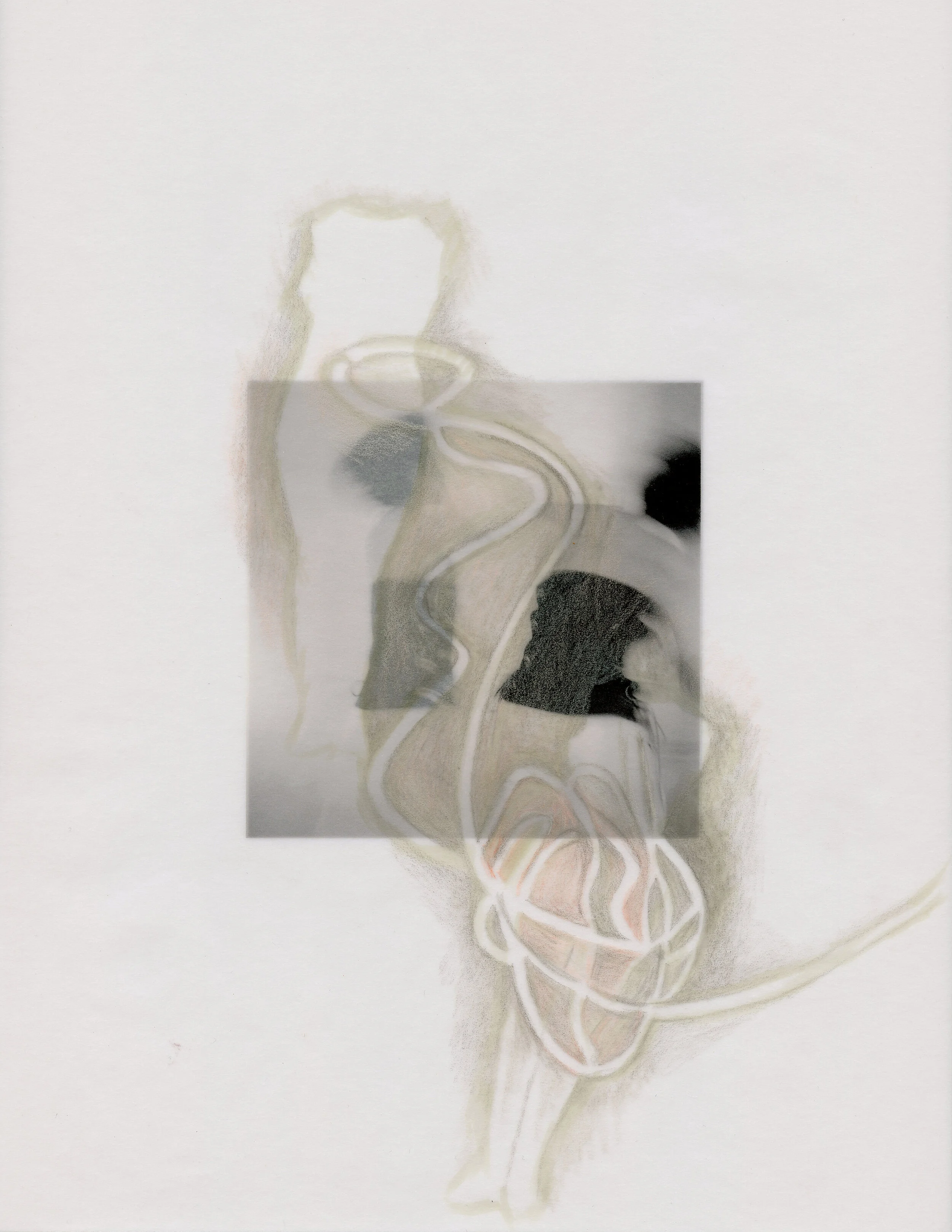 Vicky Shick, 2019