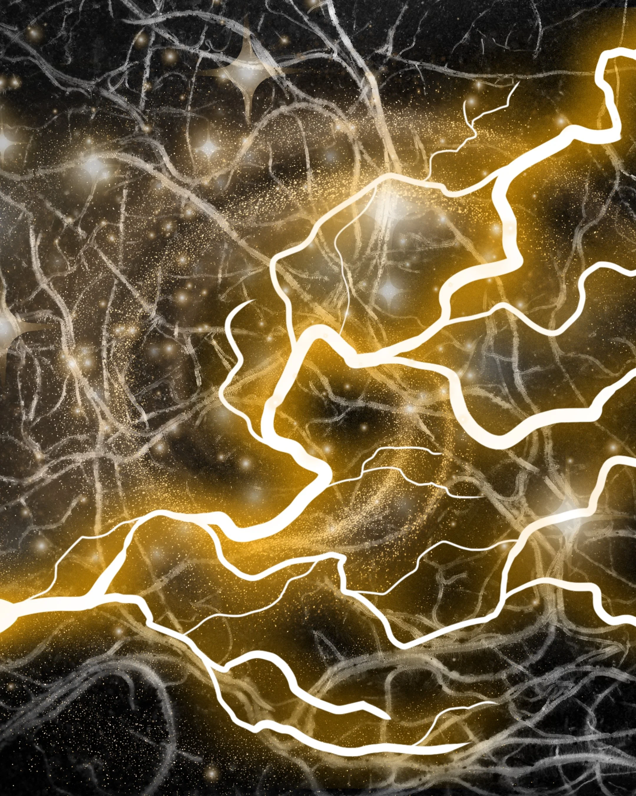 The Connection