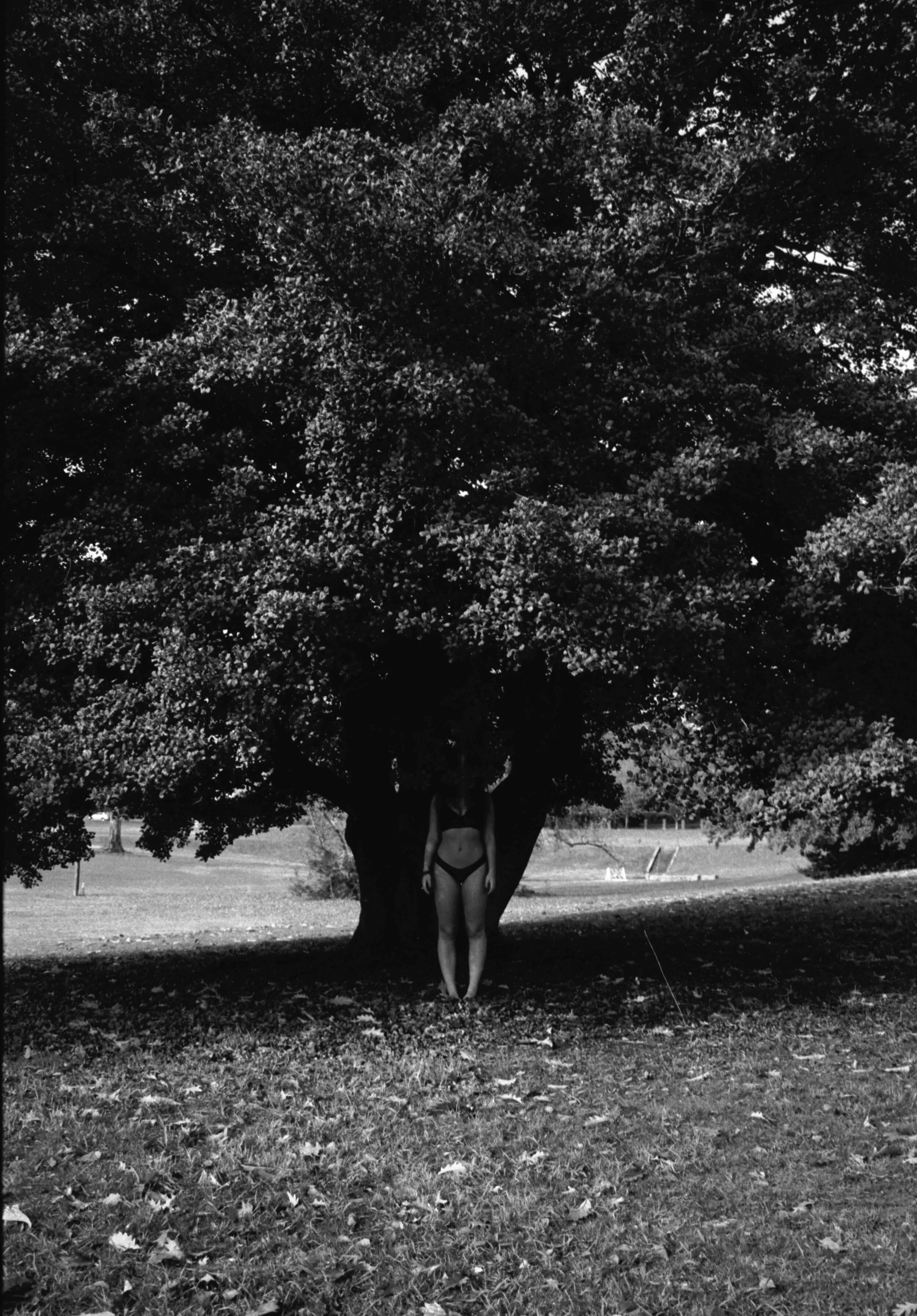 Scan 4.jpg