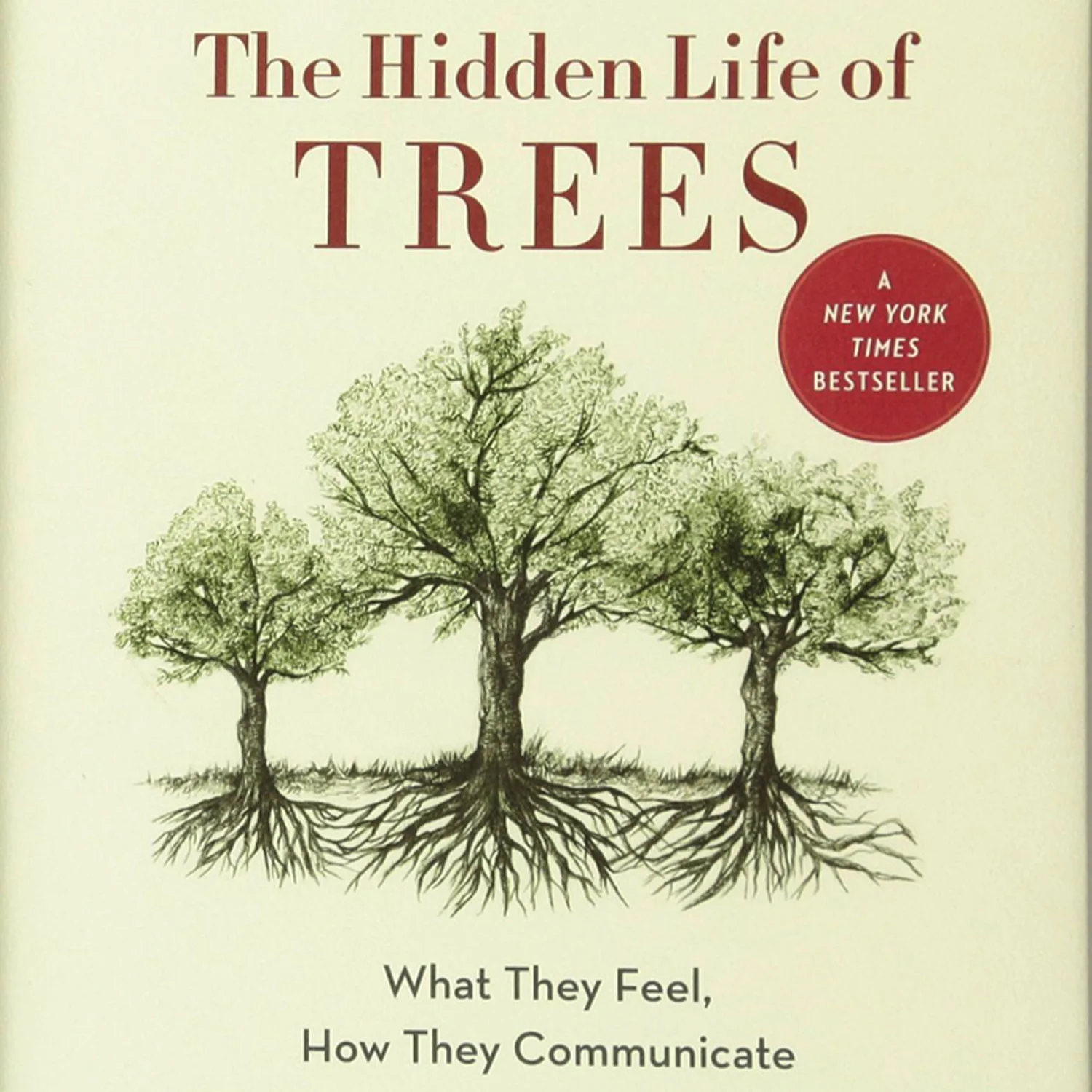 ACIDINVADER_hiddenlifeoftrees.jpg