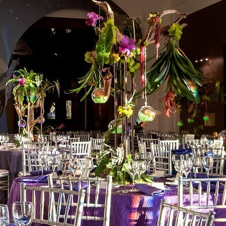 Avatar themed Gala at the Adler Planetarium, I love the rainbows created by the sunshine and beveled glass windows.  I'm hoping the sun will shine on us all again soon!!! #galas #charitybenefit #floraldesign #eventpros #avatarfilm #sexyflowers #OverT