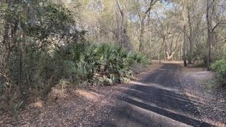 IMG_3046 Small.jpeg