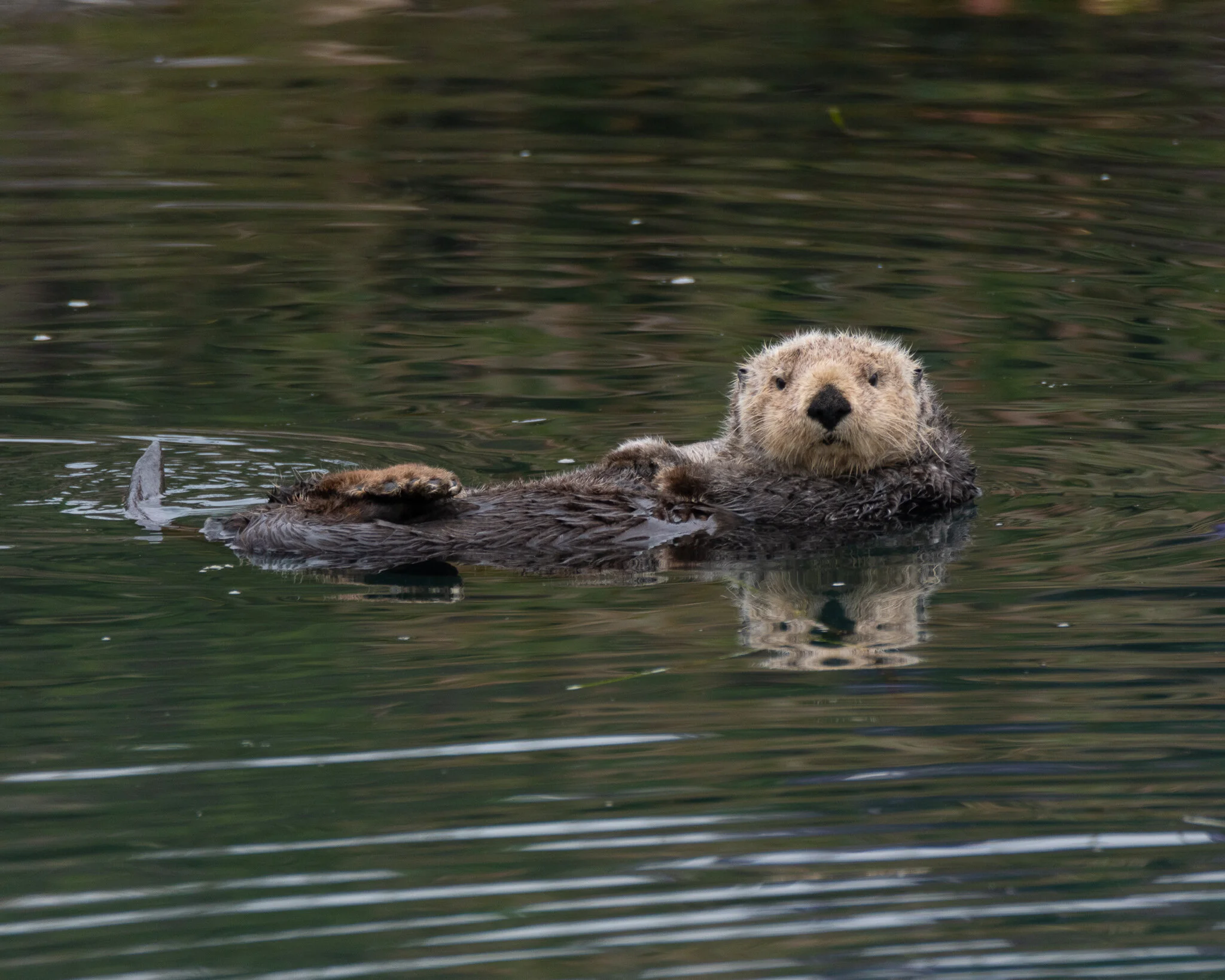 D75_9010-3.jpg
