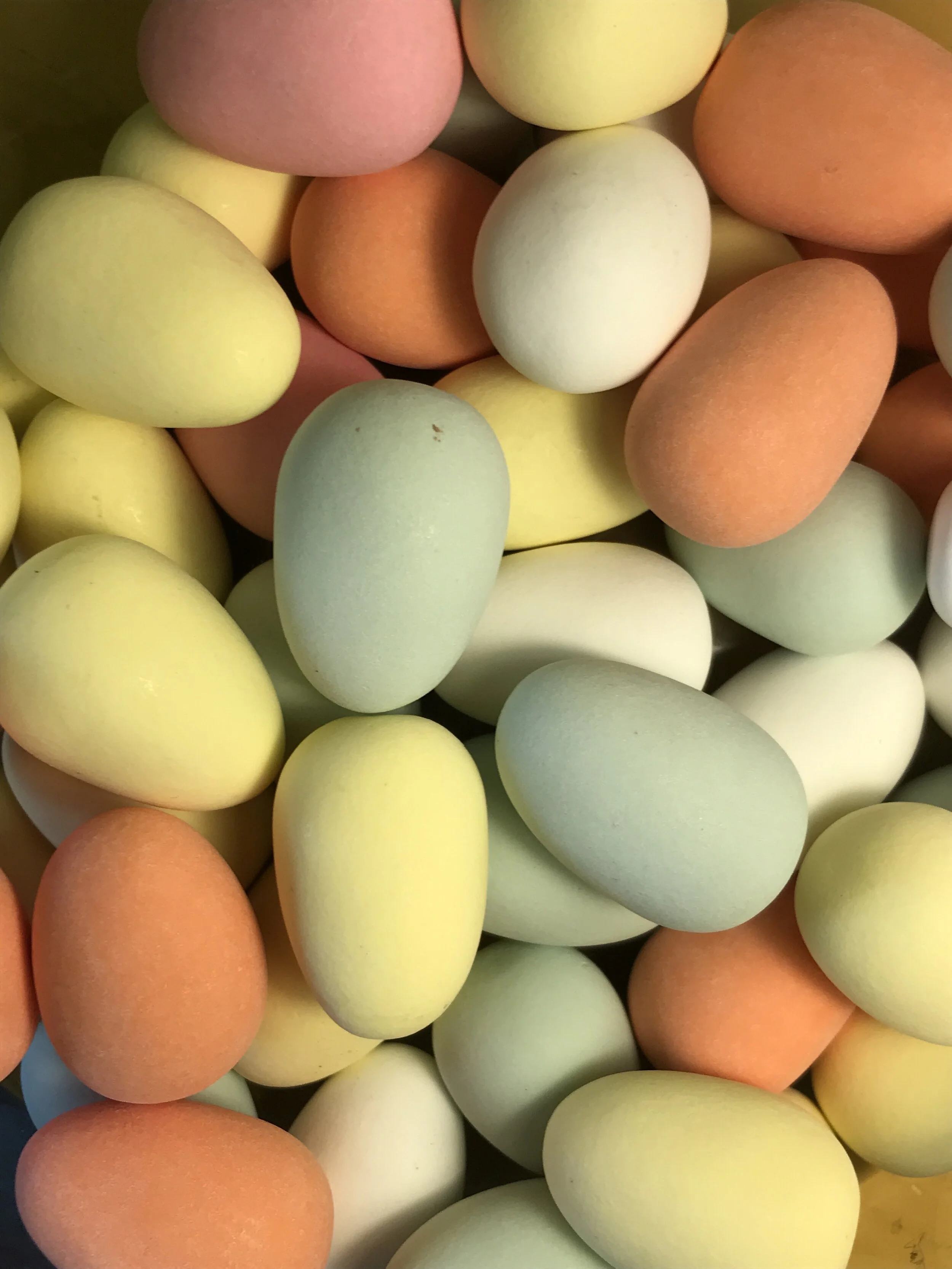 7360FED4-693D-4574-992B-6B85B8229F53