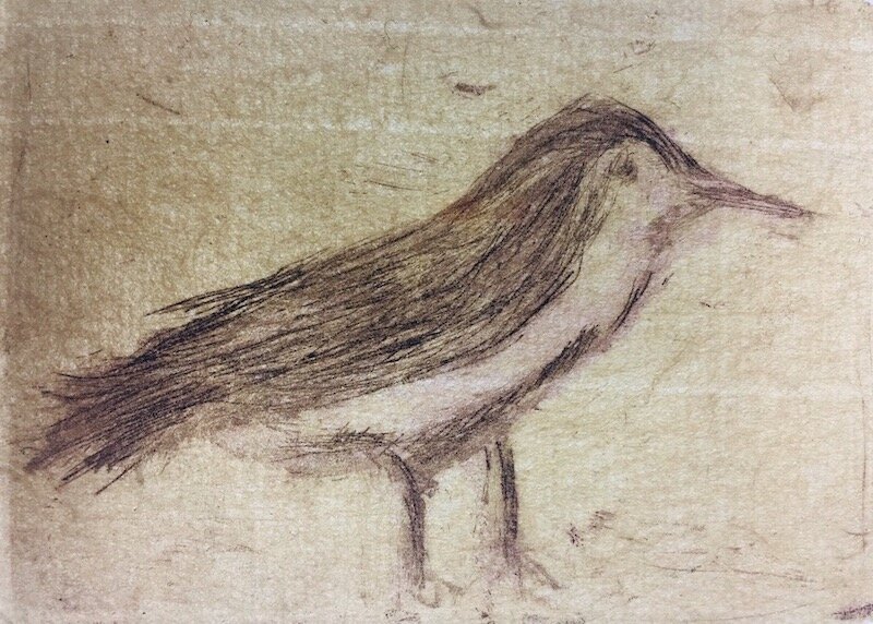 Meadow Bird