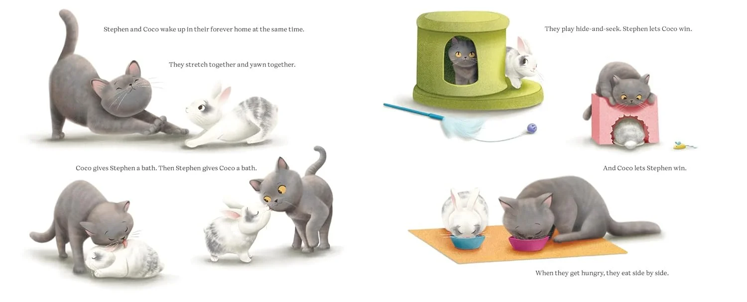 coco ste page 2.jpeg