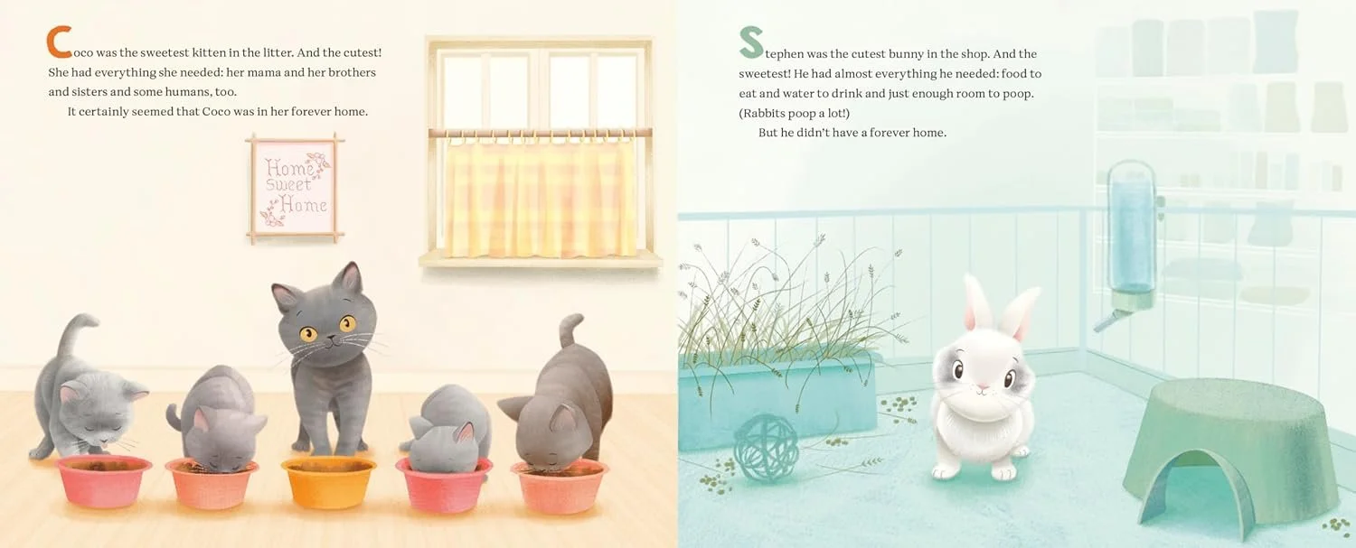 coco ste page 1.jpeg