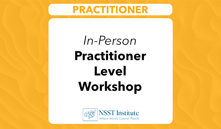 NSST - In-Person Practitioner Level Workshop