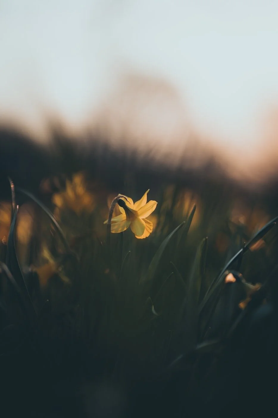 How to Cope With an Eating Disorder During Quarantine&nbsp;