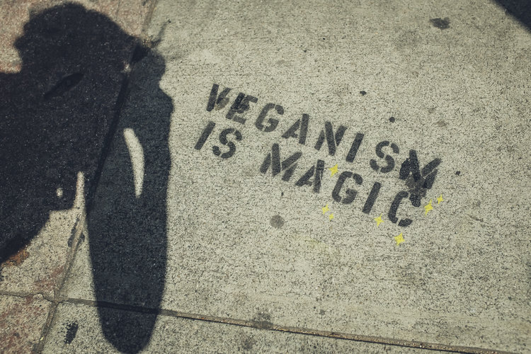 Is Veganism Only For The Rich?