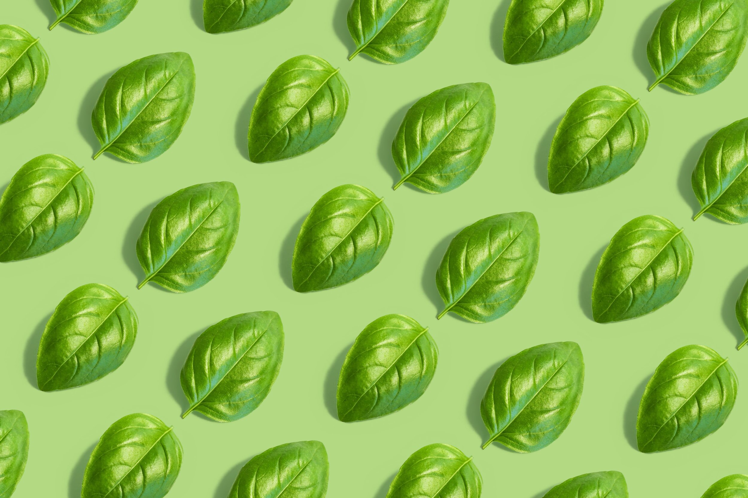 Cultural Appropriation and Greenwashing: When Will It End?