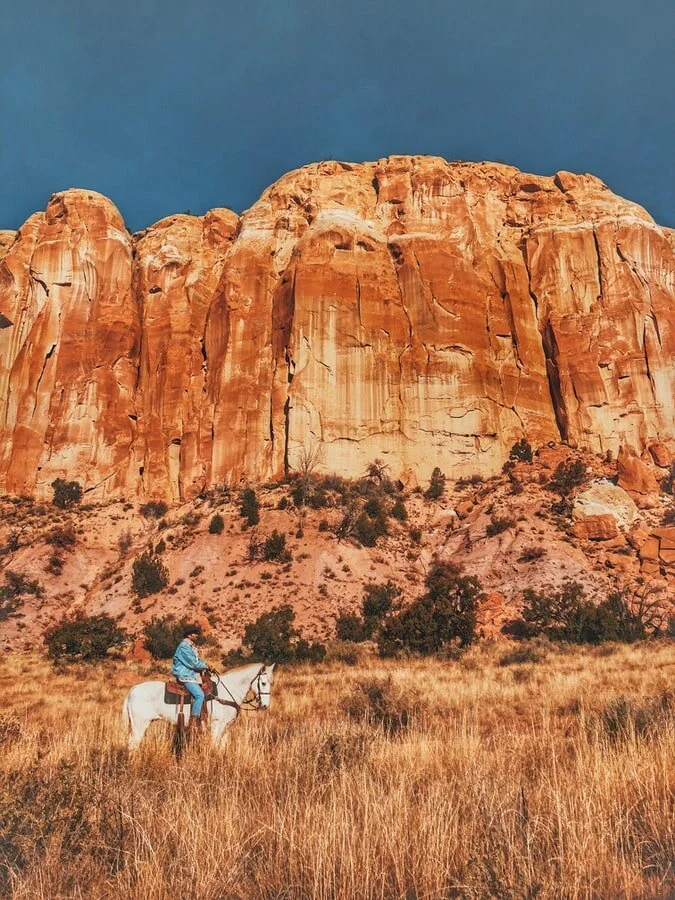 This Town Ain't Big Enough - Hollywood's White Washing of the Wild West