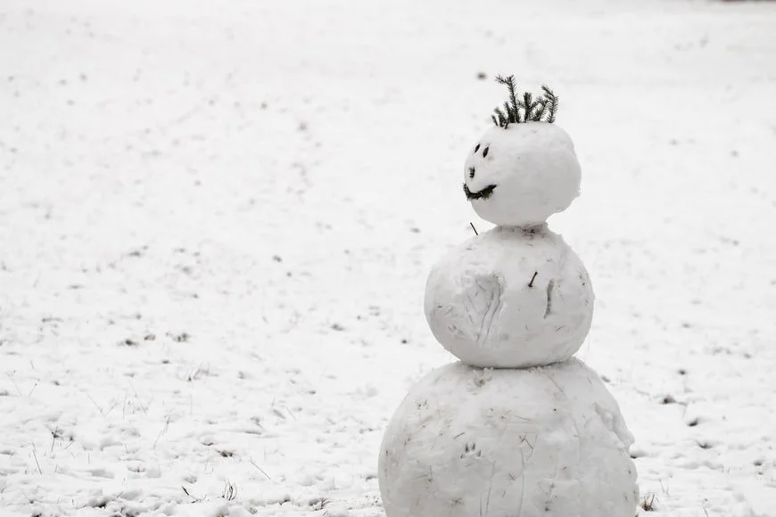 My Favourite Christmas Film: The Snowman