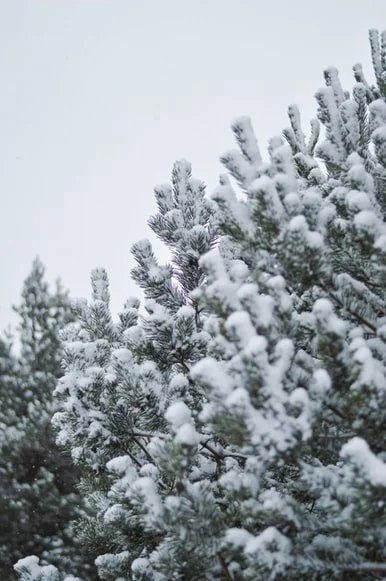 Why I Hate Christmas - Mental Health &amp; The Festive Period