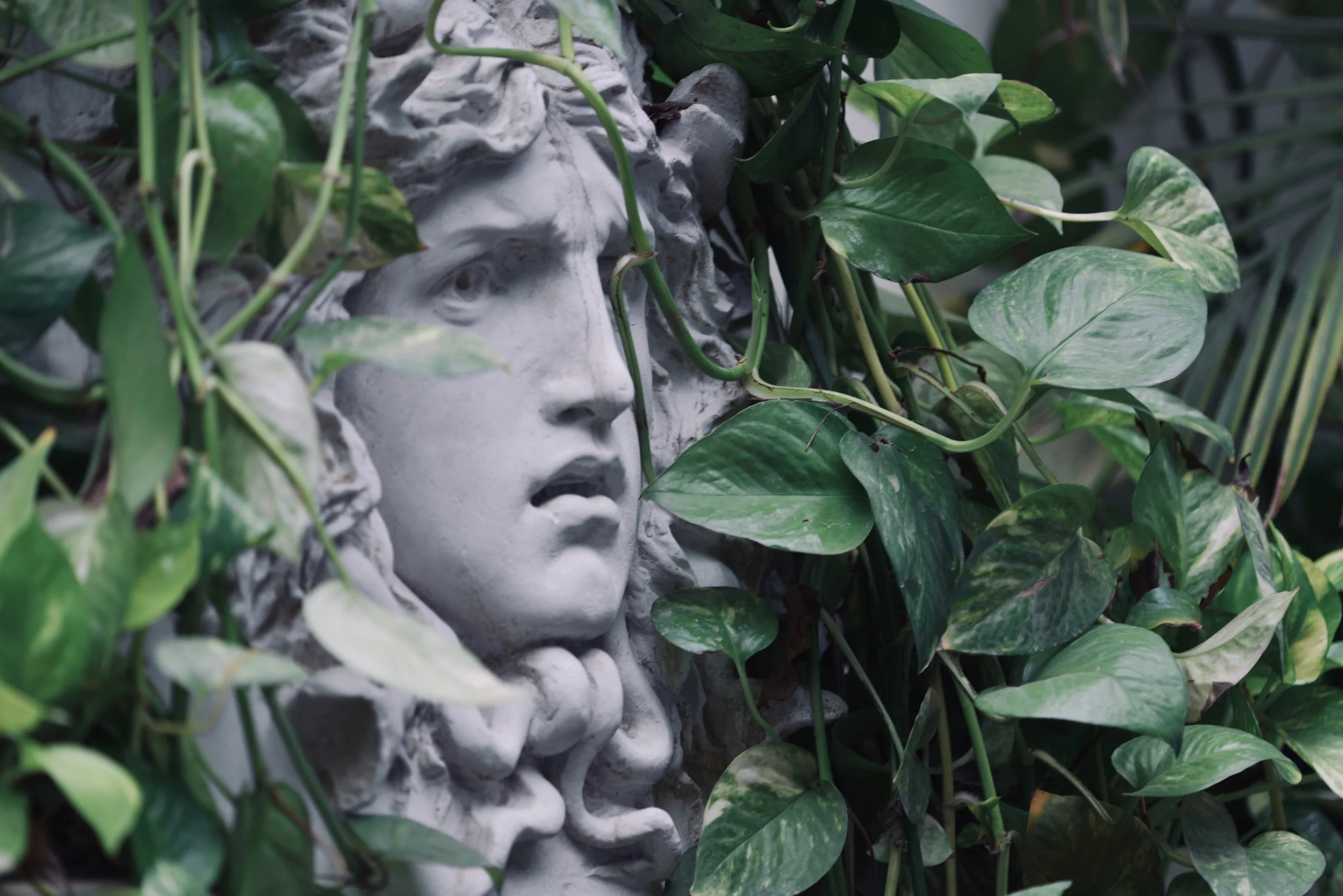 From Hero to Zero - Why are Greek mythology retellings so popular right now and why are the straight males being pushed from centre stage?