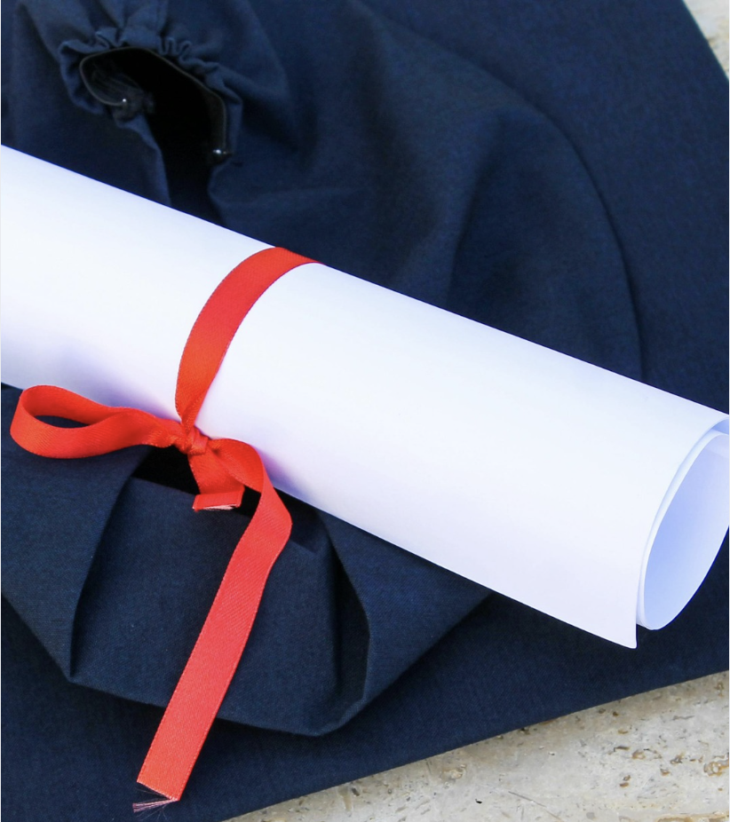A Degree in Surviving