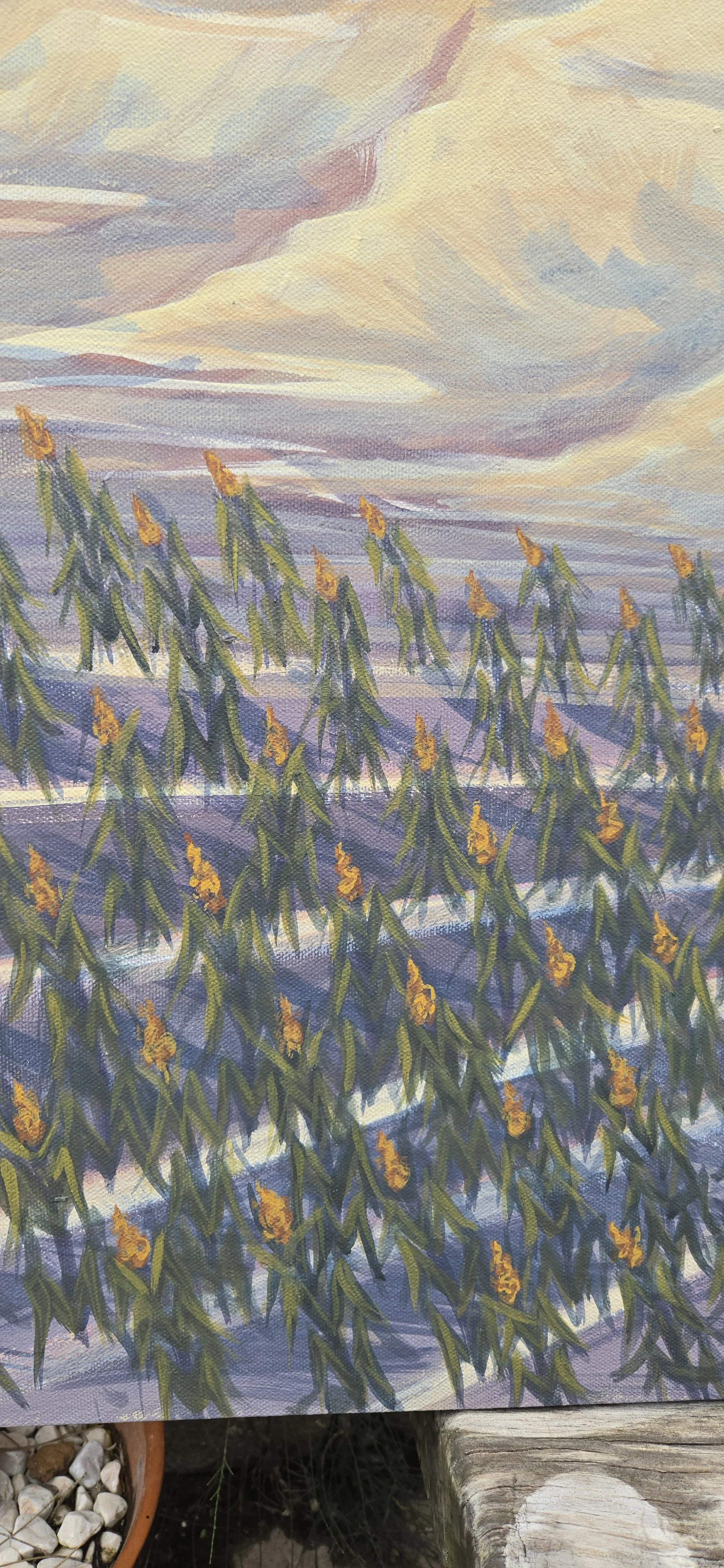 1000209871.jpg