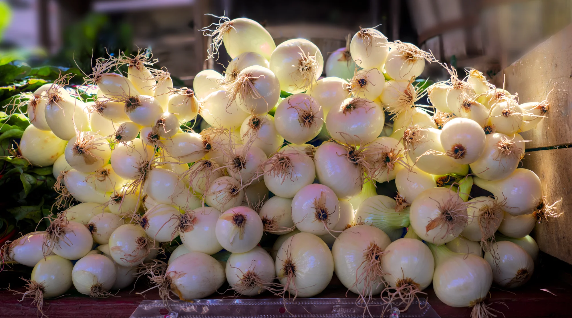 Farmers Market