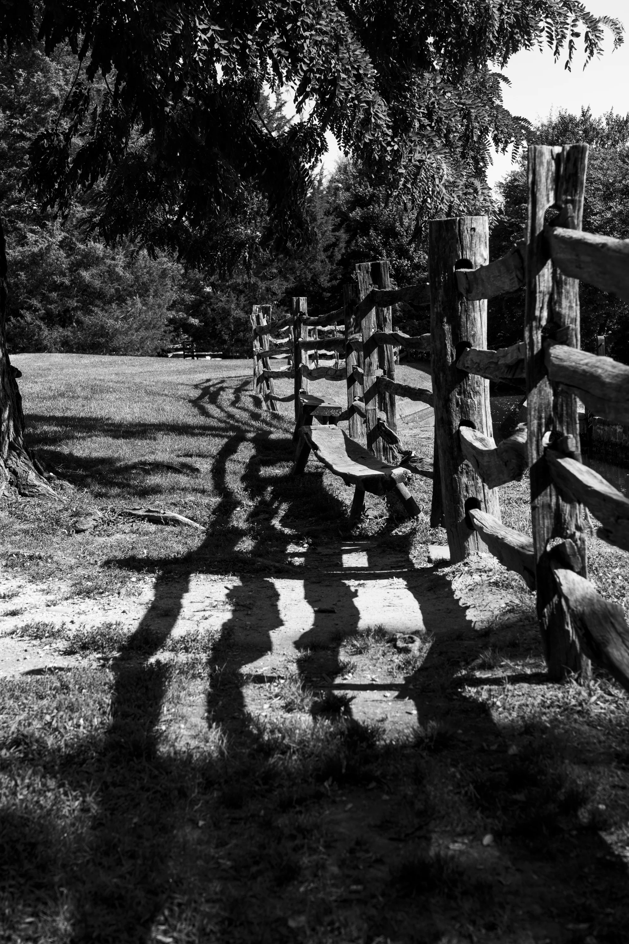 Fence Line