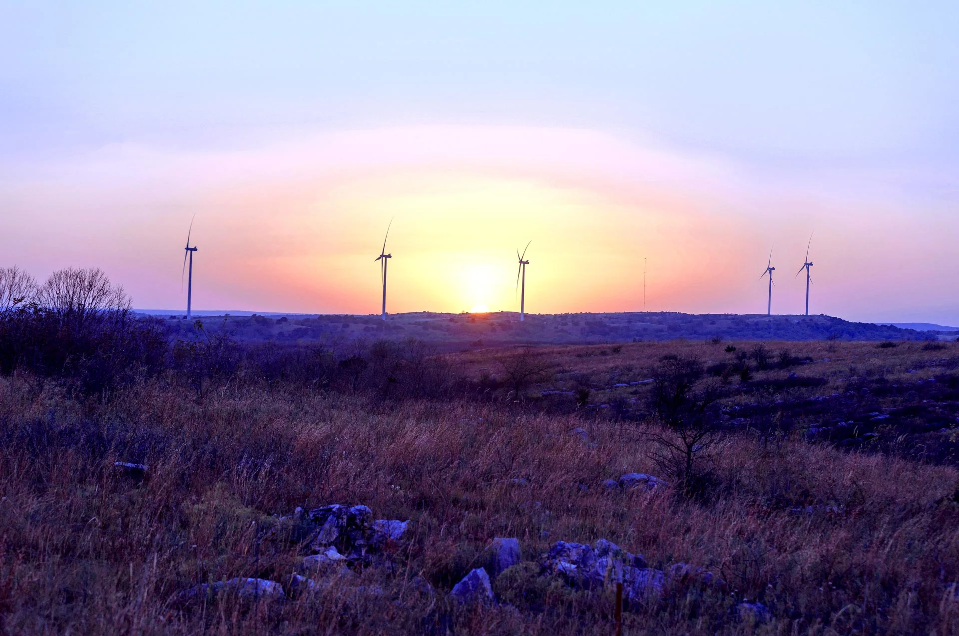 > Publications - Annual Reports — Western Farmers Electric Cooperative