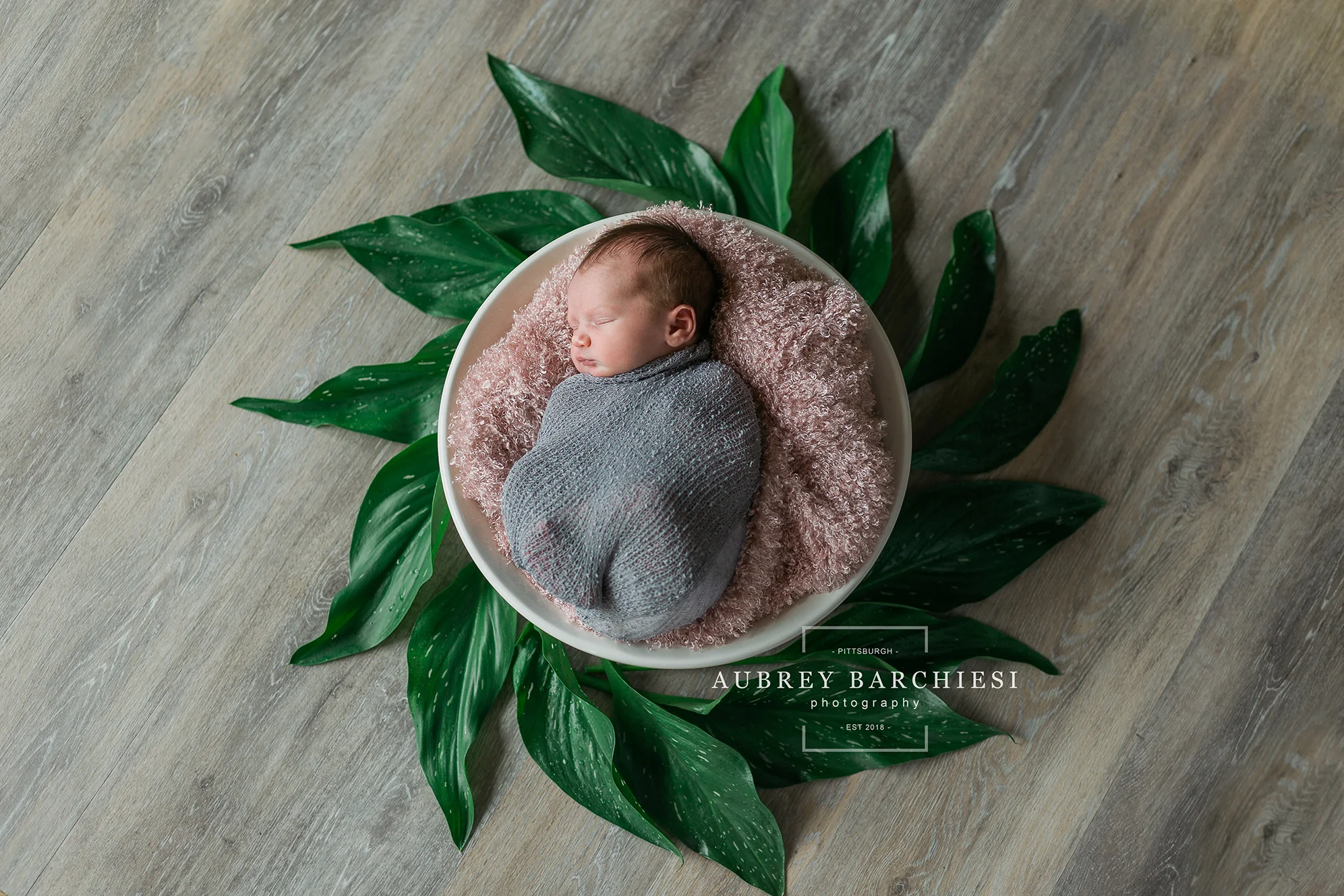 Belle Vernon Newborn Photography Session