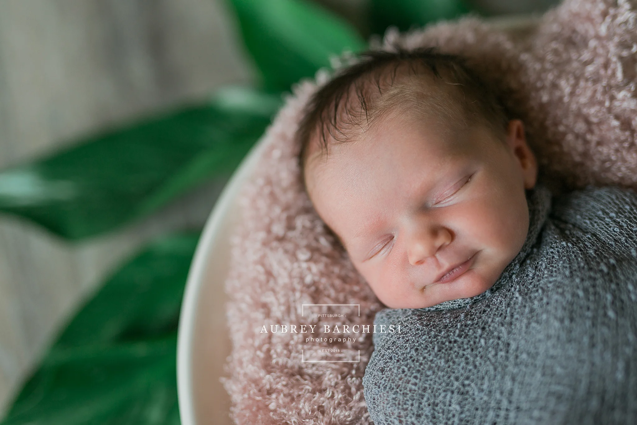Belle Vernon Posed Newborn Photography Session