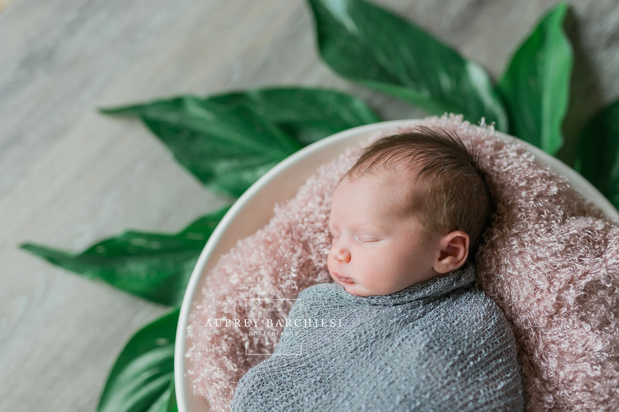 Belle Vernon Posed Newborn Photography Session