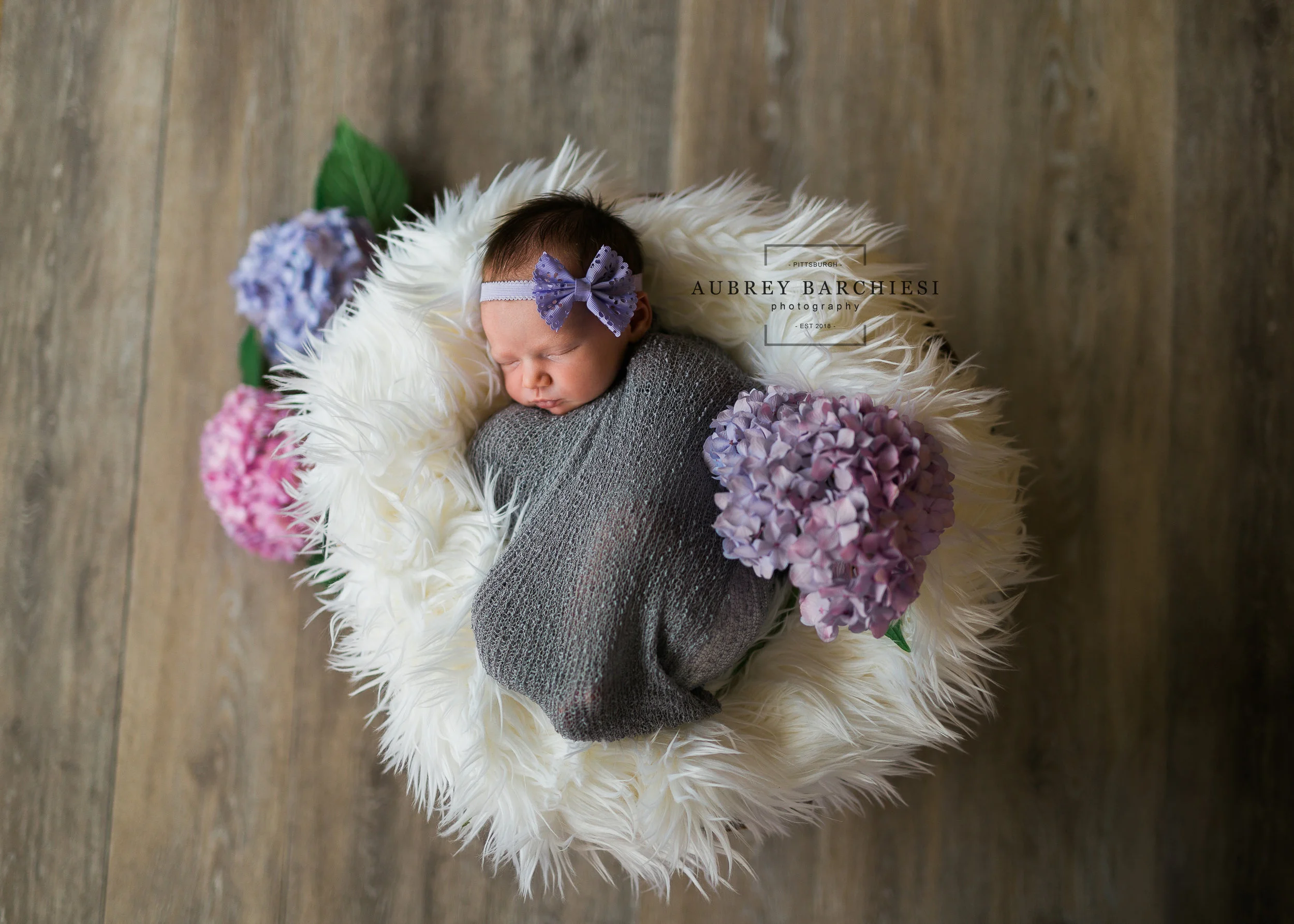 Belle Vernon Posed Newborn Photography Session