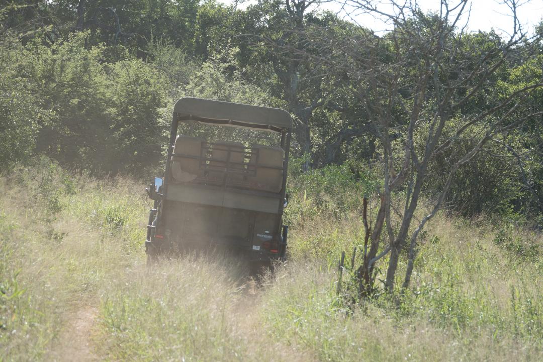 Land Cruiser-Rear View.jpg