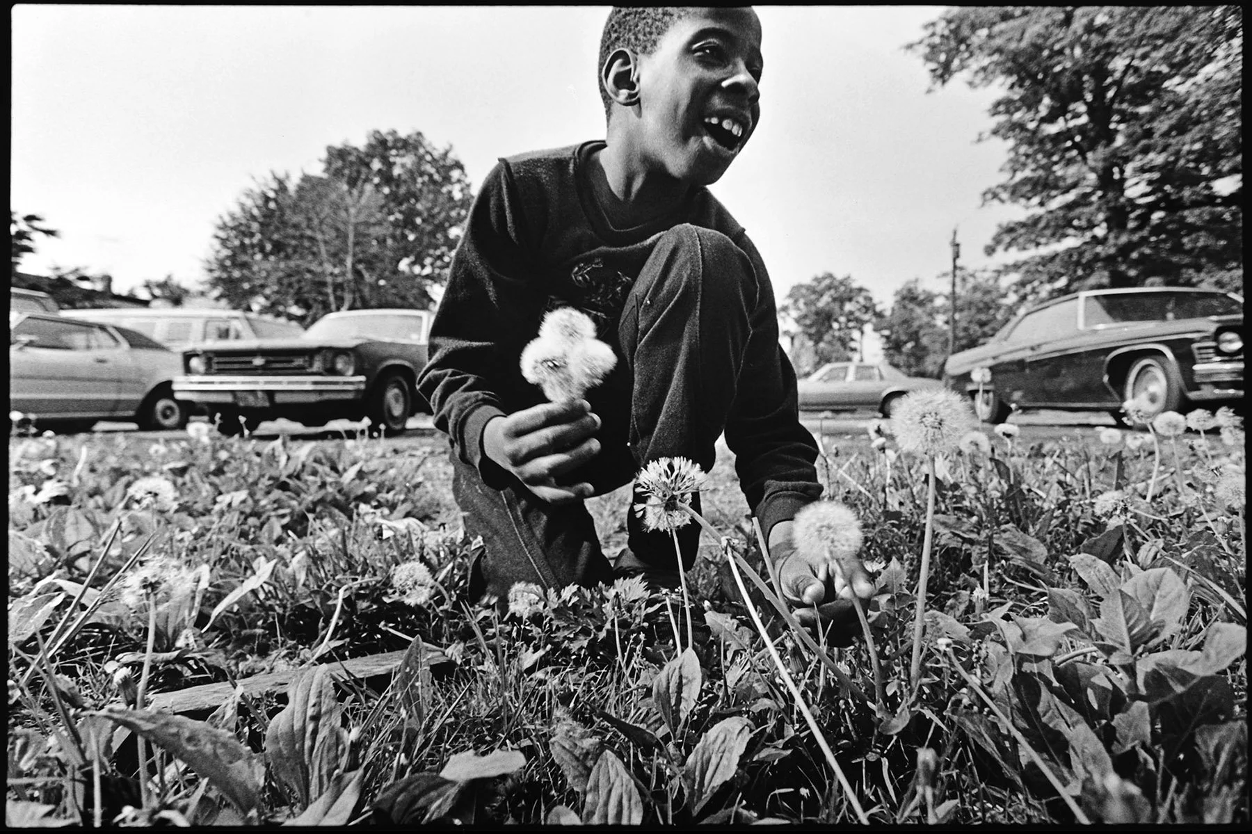 Monk picking Flowers.jpg