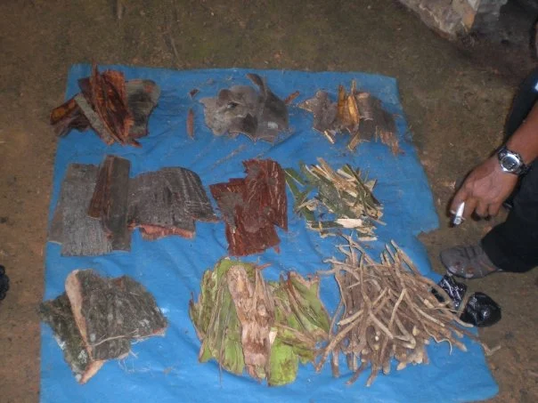Meeting the Spirits of these Jungle Healers.