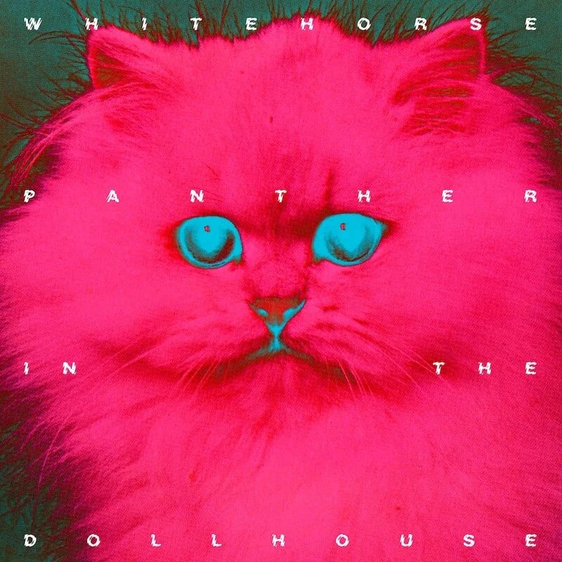 Panther In The Dollhouse