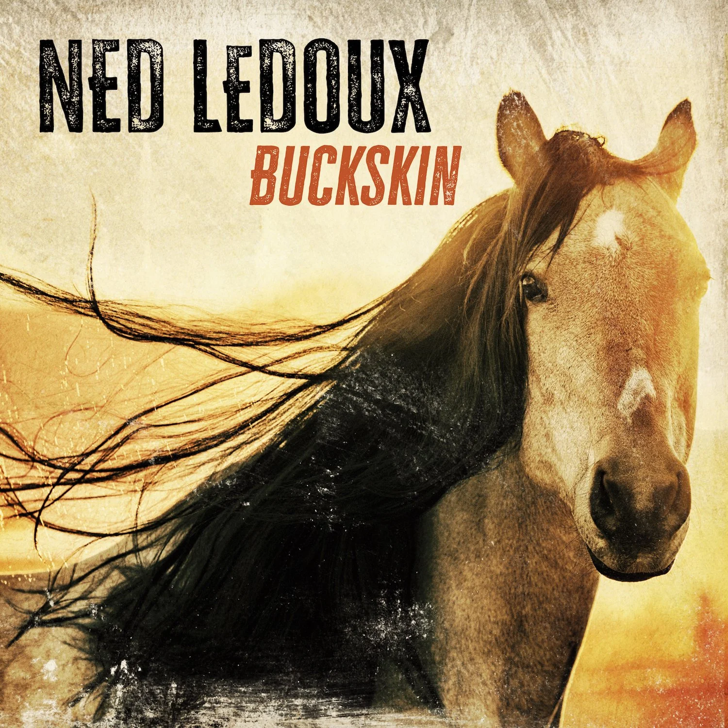 NL-Buckskin-3000x3000-F.jpg