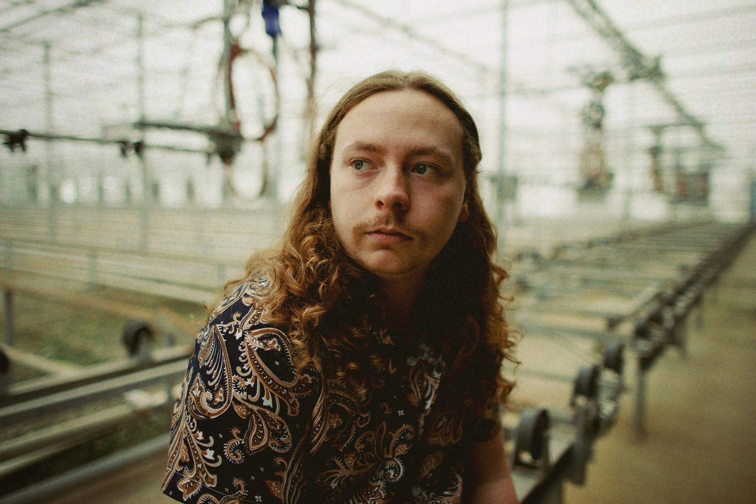 Logan Halstead