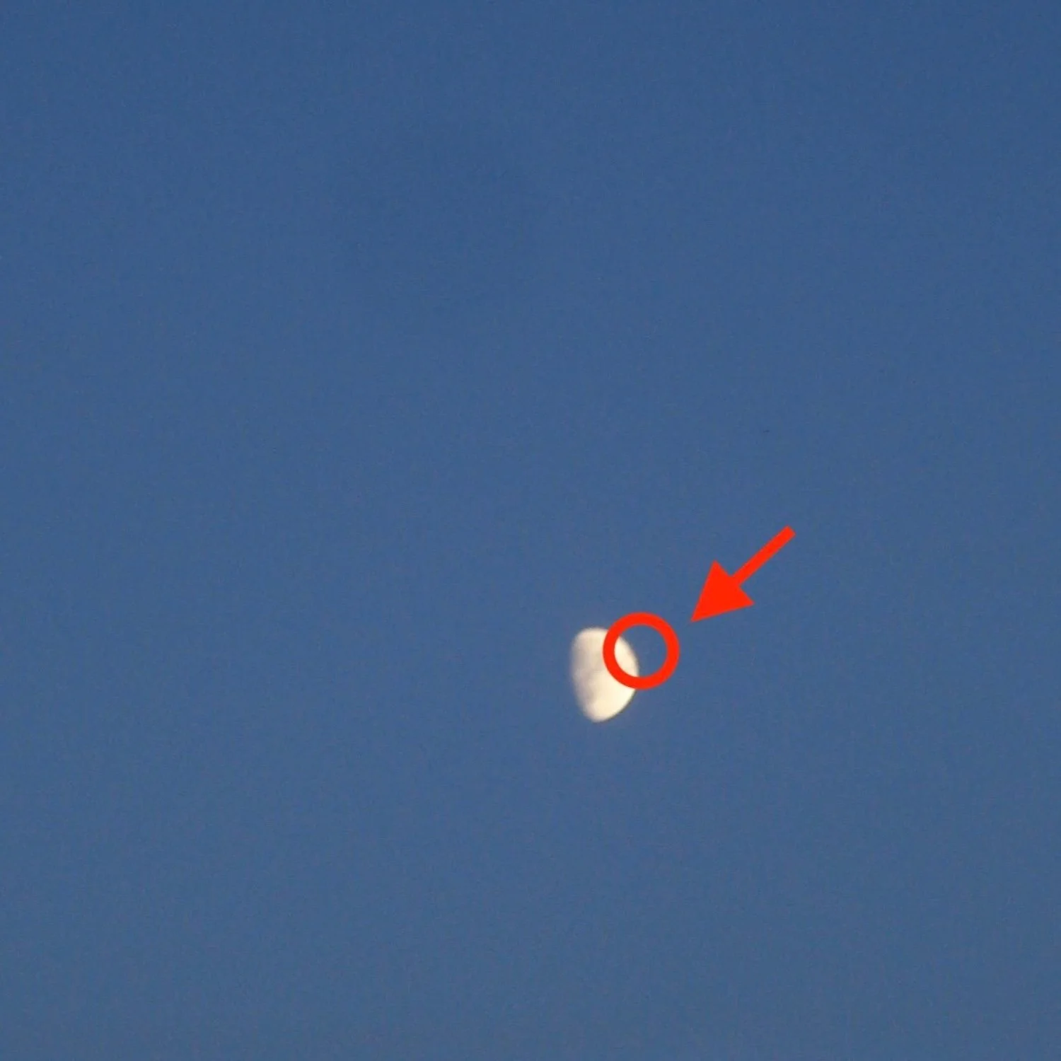 Fake Moon